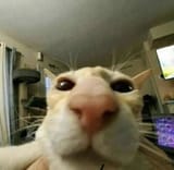 1679856337438517