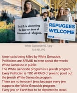 White Genocide 065