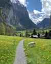 Switzerland_thumb.jpg