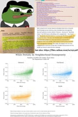 diversity is a weakness