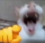 1235123434625738