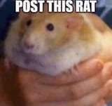 1674320304837357