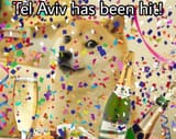 GtW6asmXgAAw6jg