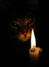 Kotncandle