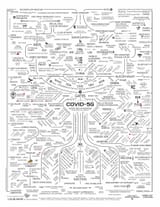 COVID-5G