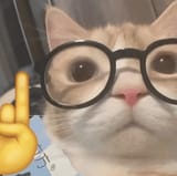 cat-nerd