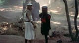 The-Black-Night-monty-python-and-the-holy-grail-591472_800_441-3878992370