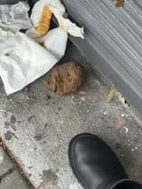 adruggiepoop