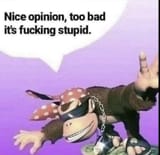 stupid opinion