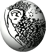 1506306840630