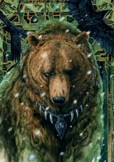 Odin Bear