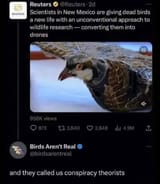 Drone Birds