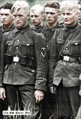 original german phenotype