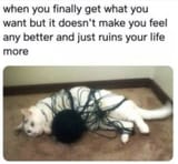 1747693917367674