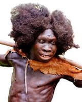 HOMO