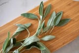 Simply-Recipes-Guide-to-Sage-LEAD-07-13f5b0730c9d495099897bbb41a0f31c