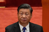 mao mao meow nigga