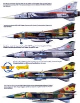 Mig23Variants