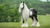 C0CF9579-18CE-43CA-8C70-8182E6E8FA77