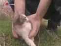 1722116024130320_thumb.jpg