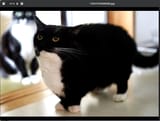banned image hash