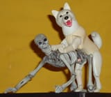 boned