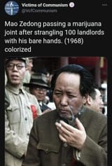 mao