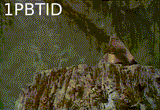 1PBTID-S5