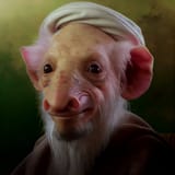 Oink Oink Khamenoid