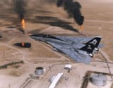 F-14 over iraq (wings folded back)