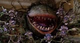 Audrey II