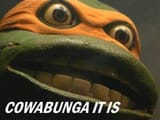 cowabunga