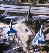 Finnish MiG-21bis with F-18 and F-14