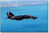 black playboy F-14 Navy