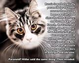 white-cat-monochrome-eyes-mustache-whiskers-611331-wallhere.comhzhfghrfhrfhg