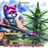 the-louisiana-branch-of-the-libertarian-party-has-some-v0-meyobb3mgesb1_jpg