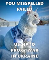 SWNS_HUGE_CAT_04jpg-JS705874207