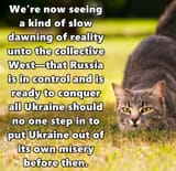 Animals_Cats_Cat_hunting_030223_gtghfhnghn