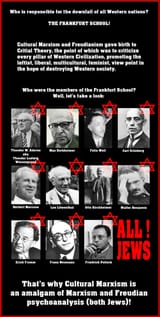 frankfurt school critical theory