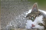 01-cat-questions-gfgfgfgfgztrtrtrt