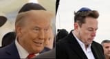 trump musk kike hat