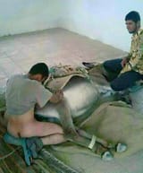 Mudslime_Rape_Donkey