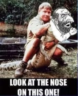 Gotcha!