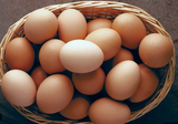 eggz