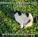 odessa meme