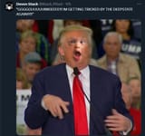 1735931256598689