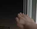 67551_thumb.jpg