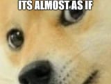 doge as if
