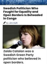 Too-much-irony-for-my-taste-1729975866457
