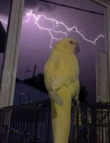 1639667917614